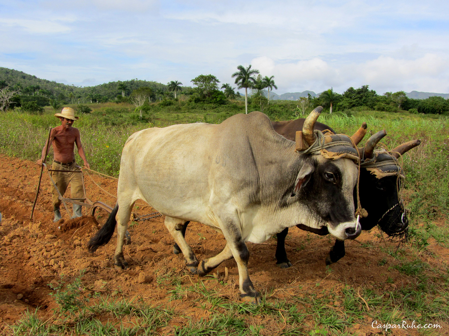 Valle de Viñales National Park